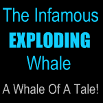 The Infamous Exploding Whale